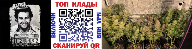 Где купить Ейск КОКАИН  Меф мяу мяу  ГАШИШ  Вейп ТГК  Канабис 