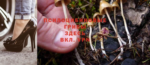 Альфа ПВП Алексеевка