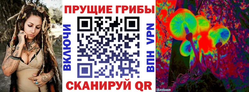 Псилоцибиновые грибы мухоморы  где найти   Ейск 